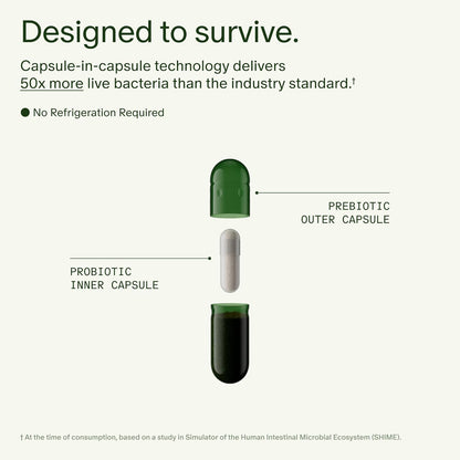 Seed DS-01 Daily Synbiotic 60 Capsules 30-Day Supply